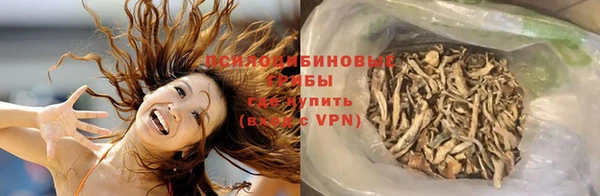 не бодяженный Богданович