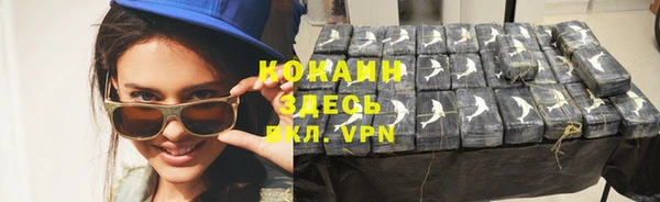 2c-b Богородицк