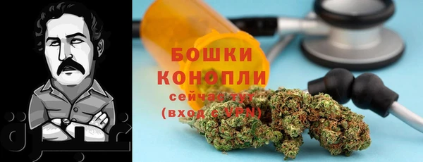 2c-b Богородицк