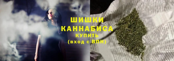 2c-b Богородицк
