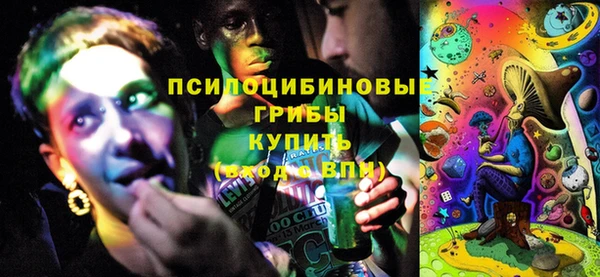 не бодяженный Богданович
